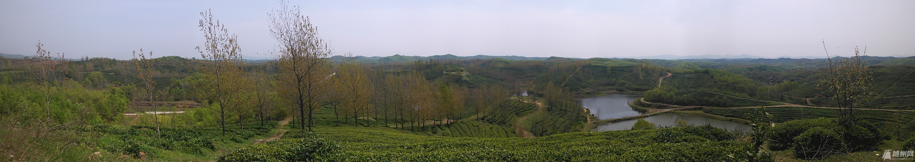 PANO_20150410_125415.jpg