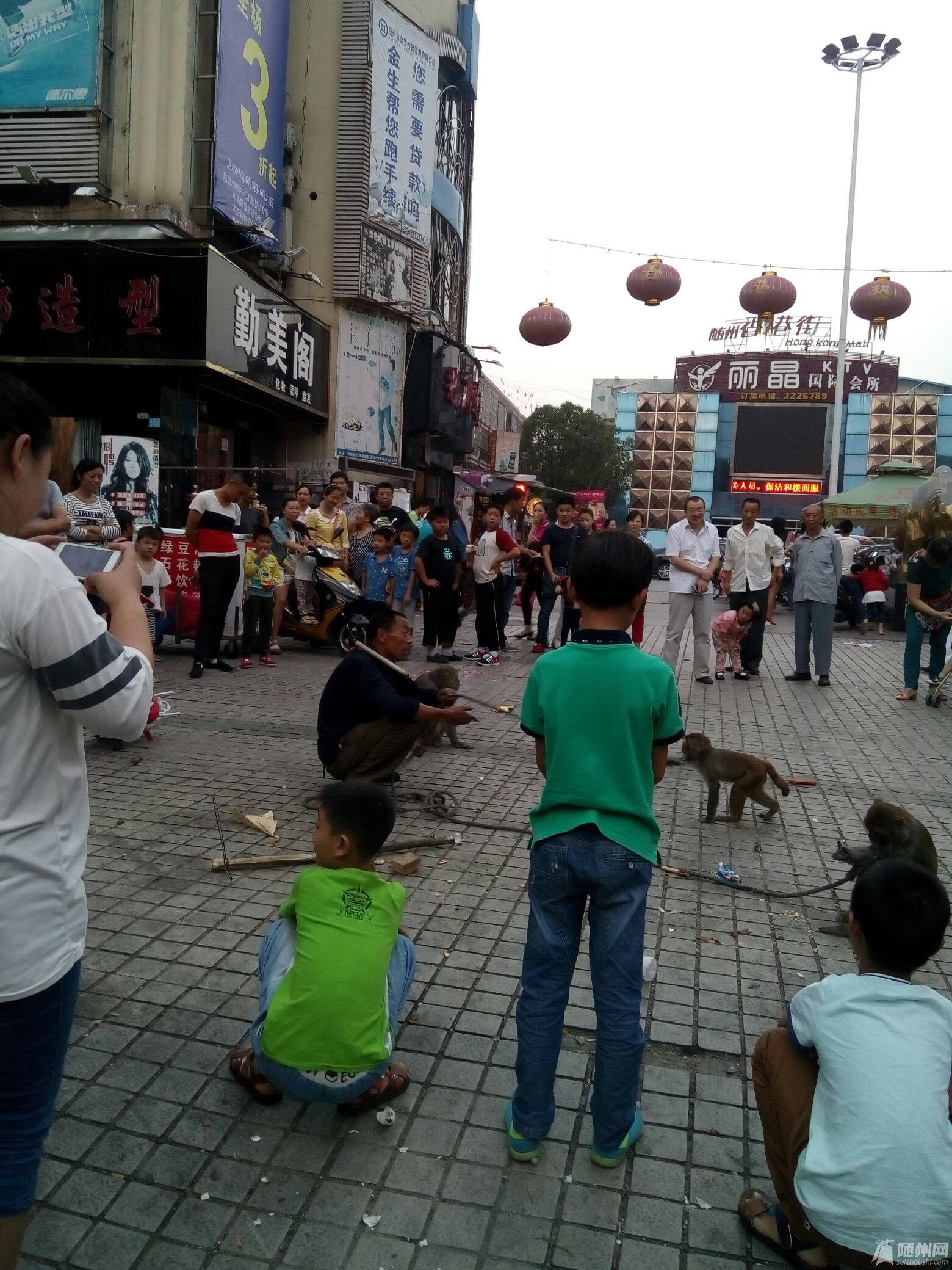 随州人口有多少人口_随州有多少汽车厂(2)