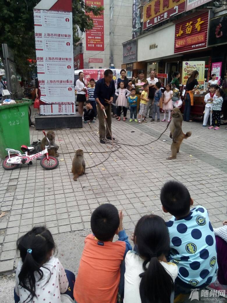 随州人口有多少人口_随州有多少汽车厂(2)