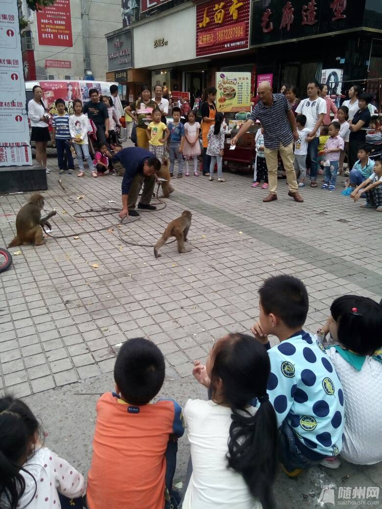 随州人口有多少人口_随州有多少汽车厂(2)